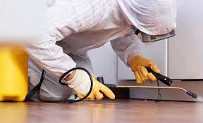 Best Real Estate Pest Inspections  in Cliffwood Beach, NJ